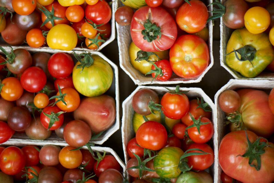Heritage Tomatoes